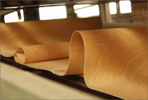 The working process of curved beech plywood: from the selection of the wood to the production of the finished product